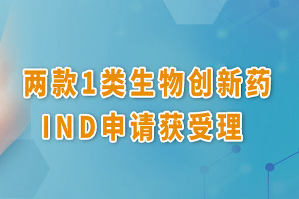 翰森制药两款1类生物创新药临床试验申请获受理